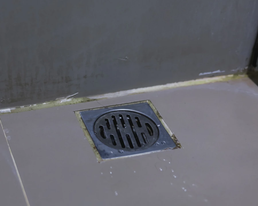 Desentupidora Planetec